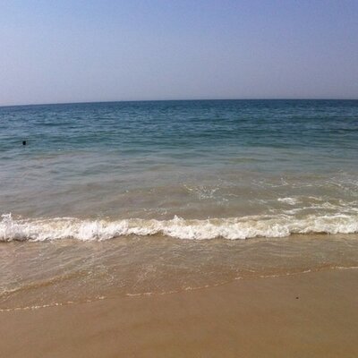 Profile Picture of Kathy Swift (@Kathy065) on Twitter