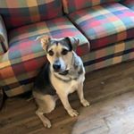 Profile Picture of Doug Hubbard (@doughubbard66) on Instagram