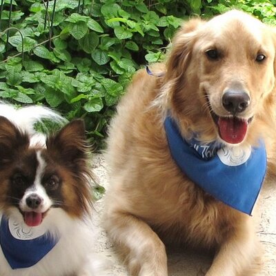 Profile Picture of Tanner & Oliver (@5MinutesforFido) on Twitter