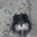 Profile Picture of Nanette Andrews (@nanette.andrews.1) on Facebook