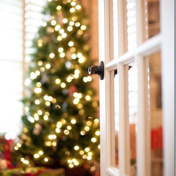 Profile Picture of Lisa Wojcik (@lisavitus) on Poshmark