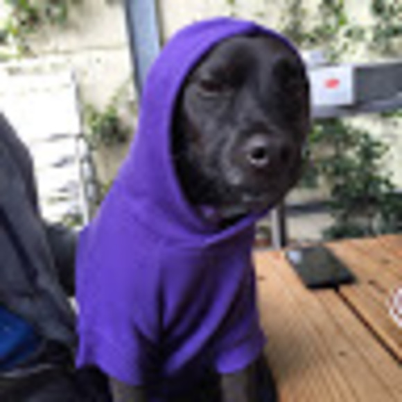 Profile Picture of Brittany Gedney (@brittanygedney) on Poshmark