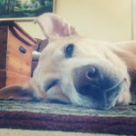 Profile Picture of Christopher Rhoades (@bootergery) on Instagram