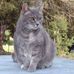 Profile Picture of Peggy Singleton (@peggy.singleton.5) on Facebook