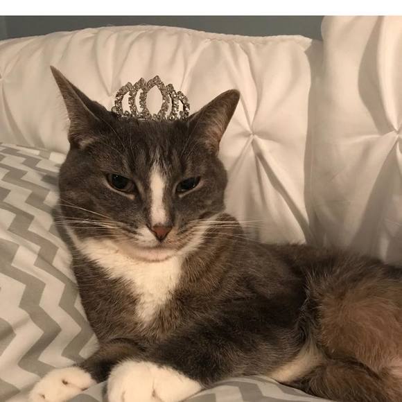 Profile Picture of Michelle Marciniak catalano (@michellecat1) on Poshmark