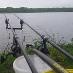 Profile Picture of Chris Bonnet (@chris_bonnet) on Instagram