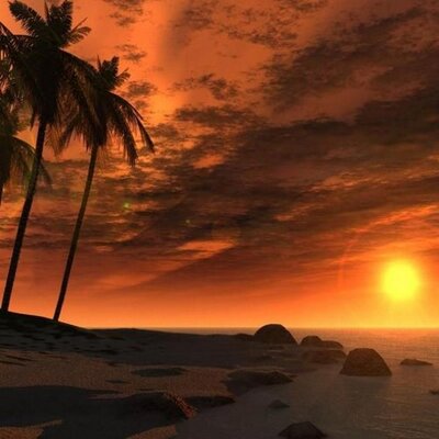 Profile Picture of Susan StClair (@coltcountry) on Twitter