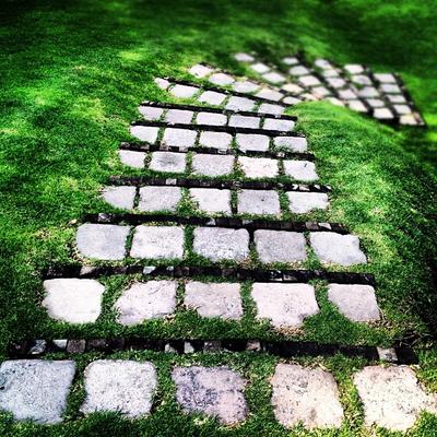 Sheryl Reed - Twitter Profile Picture of Sheryl Reed (@flawedcarbur88) on Twitter