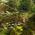 Profile Picture of Michael Monz (@miikklle) on Instagram