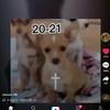 Profile Picture of G °©° (@@ashleybarrios_14) on Tiktok