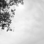 Profile Picture of anita huynh (@anitahvynh) on Instagram