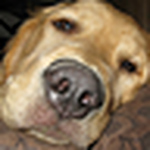 Profile Picture of Mark (@master-of-none) on Flickr