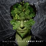 Profile Picture of Matthew Sharp (@mattdjsharp) on Instagram