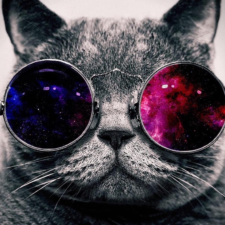 Profile Picture of Gregory Maniu (@gregorymaniu) on Tiktok