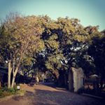 Profile Picture of Fatima (Haffejee) Murchie (@fatzilcious) on Instagram