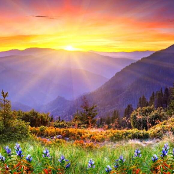 Profile Picture of Starla Hendrix (@starlahendrix39) on Poshmark