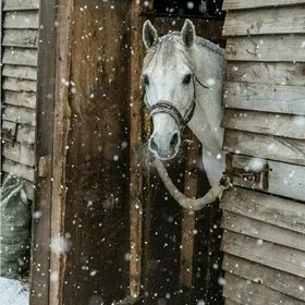 Profile Picture of Amanda Falkner (@amandafalkner42) on Pinterest