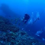 Profile Picture of Jason Yao (@jason.yao310) on Instagram