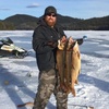Profile Picture of Rob Cairns (@@buckynorris) on Tiktok