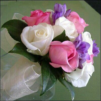 Profile Picture of Hussein Shaheen (@shaheen_hussein) on Twitter