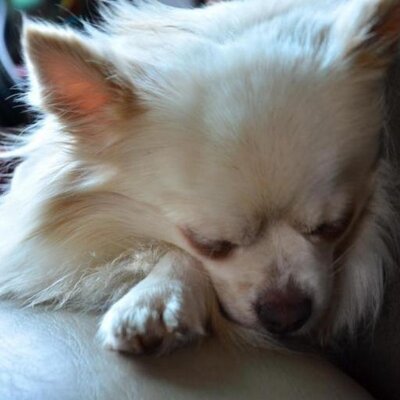 Profile Picture of Daydreaming~~ (@LawrenceLing445) on Twitter