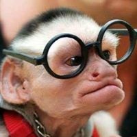 Profile Picture of Stephen Bogusta (@stephen-bogusta) on Quora