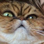 Profile Picture of rubygiles2.0 (@rubygiles2.0) on Instagram