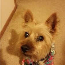 Profile Picture of Tim Winchester (@specialty8524) on Twitter