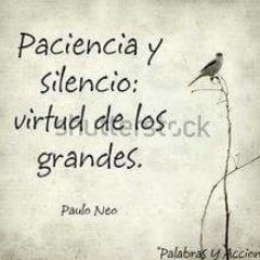 Profile Picture of Xavier Gallegos (@elxavigallegos) on Twitter