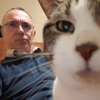Profile Picture of Ryan Campbell (@treesareniceish) on Twitter