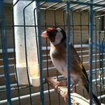 Profile Picture of Mohamed Hamidi (@mohamed.hamidi.78) on Instagram