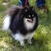 Profile Picture of Joyce Rutledge (@joyce.rutledge.14) on Facebook
