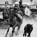 Profile Picture of Kennedy Hayes (@KLHRodeo) on Pinterest