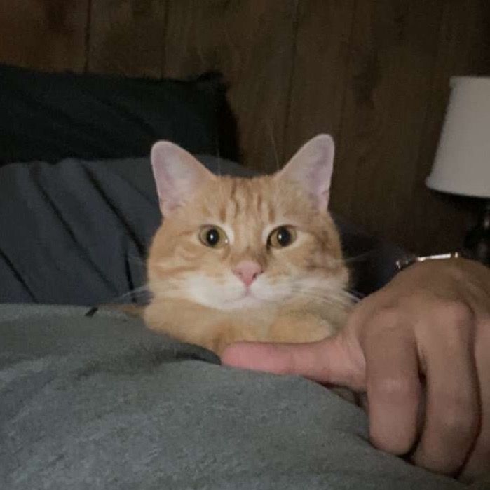 Profile Picture of mark (@m_slinn) on Tiktok