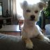 Profile Picture of Mark Makowski (@mark.makowski.963) on Facebook