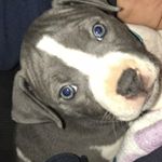 Profile Picture of Clarissa Sandoval (@clarissa.sandoval.58) on Instagram