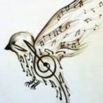 Profile Picture of Steven Minh Trinh (@steven_trinh237) on Instagram