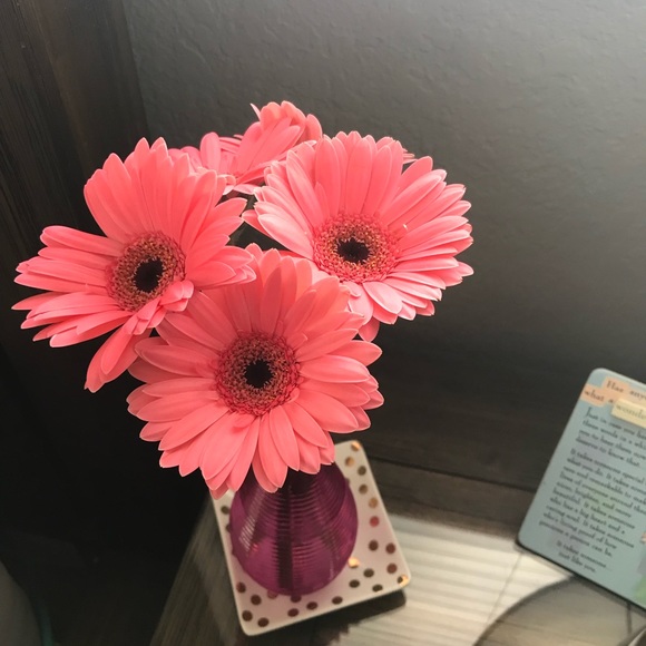 Profile Picture of Shani Llanes (@sllanes0428) on Poshmark