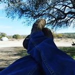 Profile Picture of Brandon Holsey (@brandonholsey) on Instagram