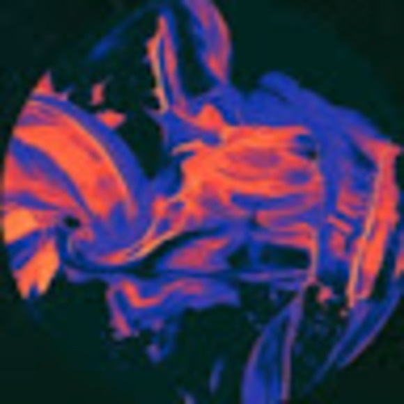 Profile Picture of Vivika Iyengar (@vivikaiyengar) on Poshmark