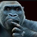 Profile Picture of Kevin Chrétien (@kevinchretien696969) on Instagram