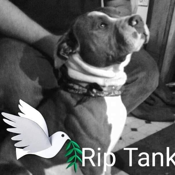 Profile Picture of Richard Garner (@richardgarne885) on Poshmark