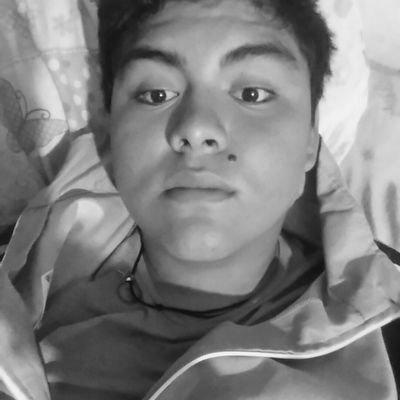 Profile Picture of Jonathan Peñha (@JonathanPeha2) on Twitter