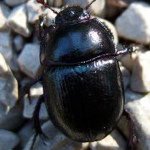 Profile Picture of Michael Horch (@squidder2011) on Instagram