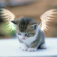 Profile Picture of Mikki Anderson (@mikki-anderson-14) on Quora