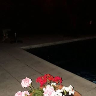 Profile Picture of Perla Simone (@perla.simone.7) on Facebook