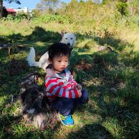 Kevin Diesel - Quora Profile Picture of Kevin Diesel (@kevin-diesel-6) on Quora