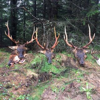 Profile Picture of Pete Haugland (@Pete-Haugland) on Facebook