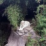 Profile Picture of Mauro Gallegos (@mauro.gallegos.359) on Instagram