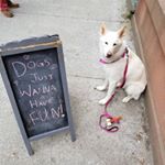 Profile Picture of Alex Driscoll (@wolf_of_3rd_street) on Instagram